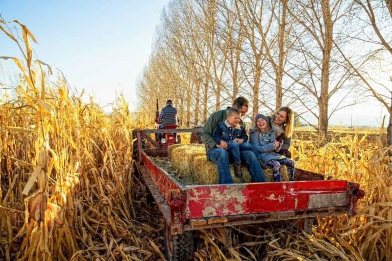 mom, dad, and kids on hayride in corn field in fall